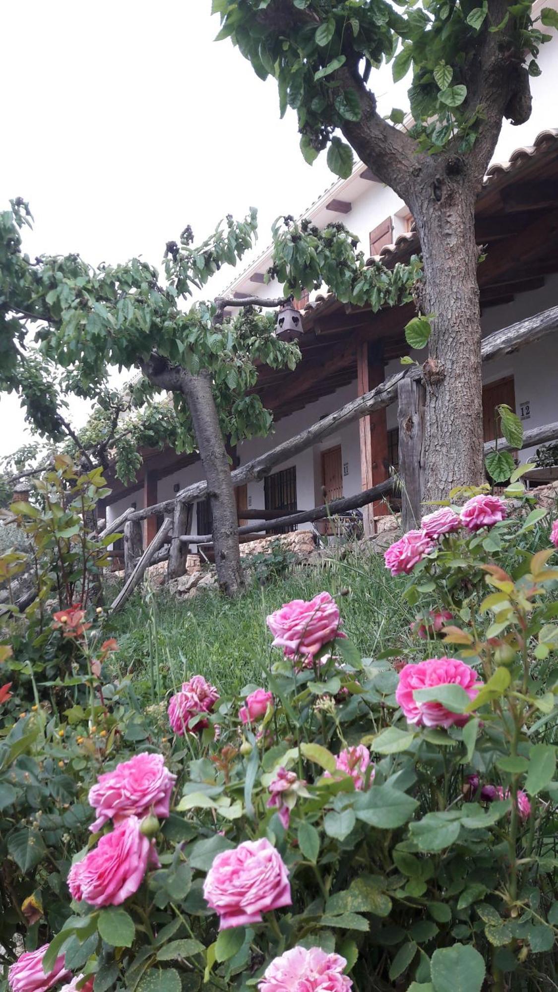 Bed and Breakfast Chorros Del Rio Mundo Riópar Zewnętrze zdjęcie